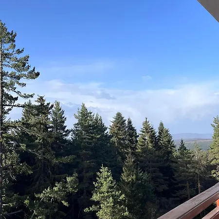 For Rest In Apartamento Borovets