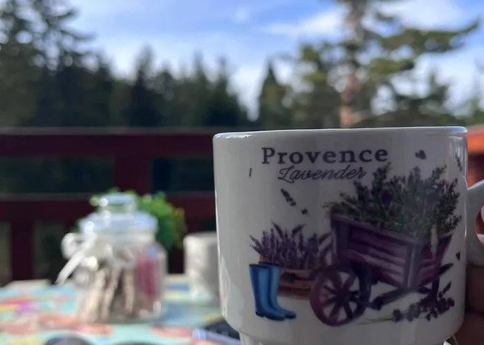 For Rest In Боровец