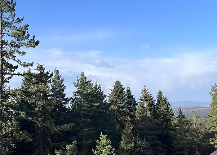 For Rest In Апартамент Боровец